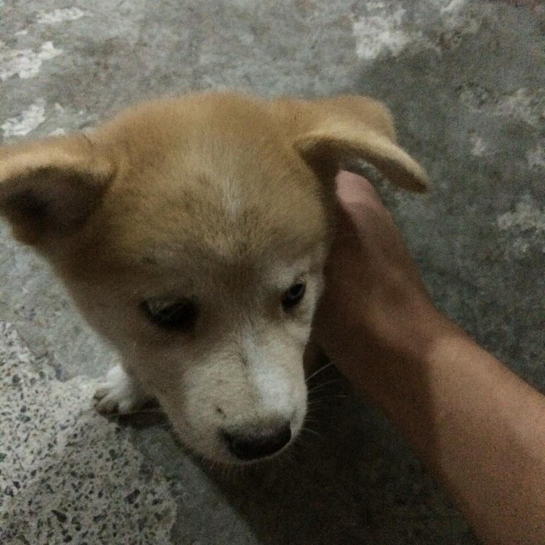 人间清醒