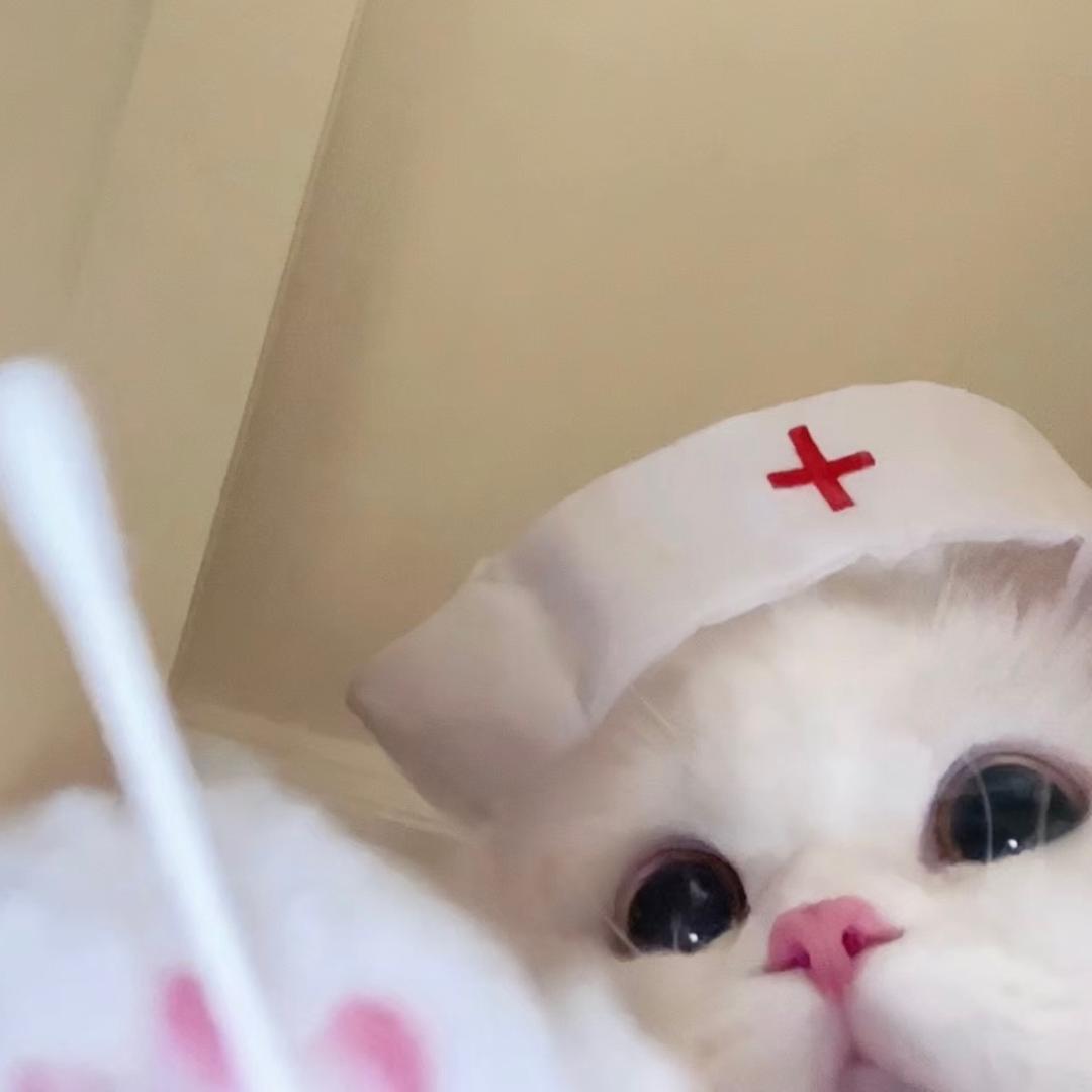 一条🐟
