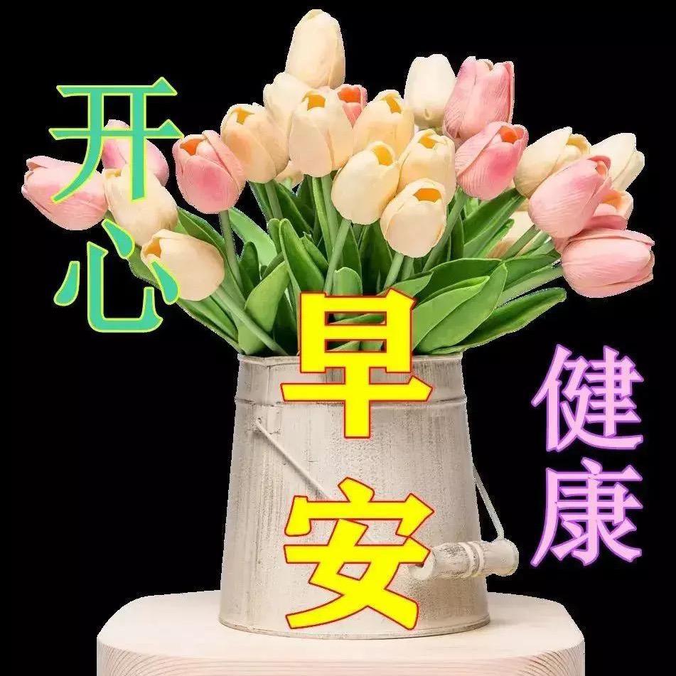 🌈追月🌈