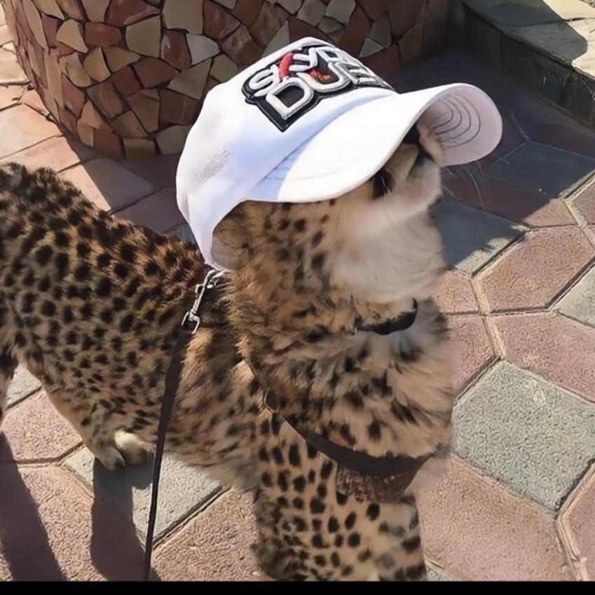 金天不上班💼