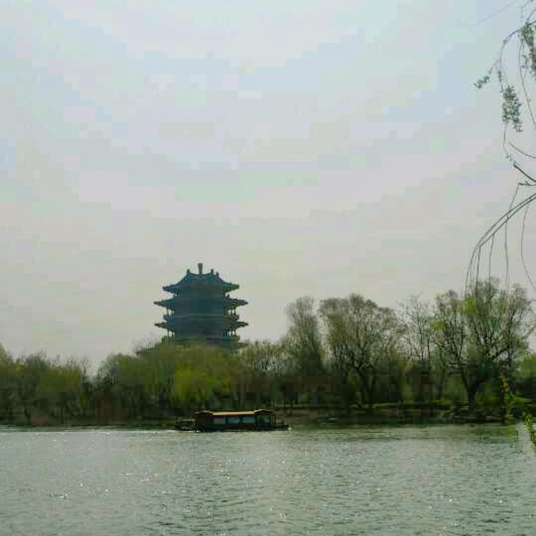 彬