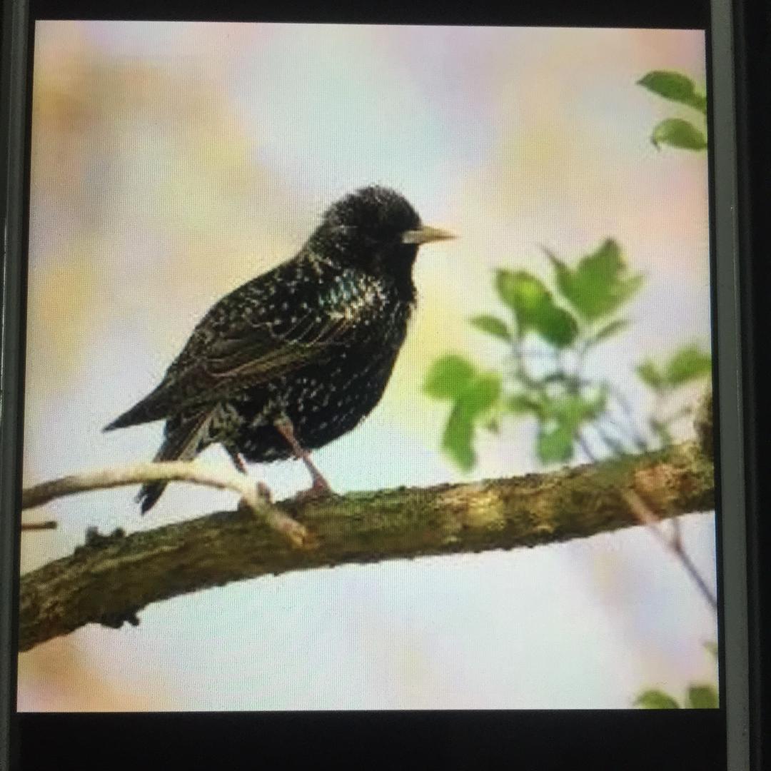 🇨🇳勇往直前