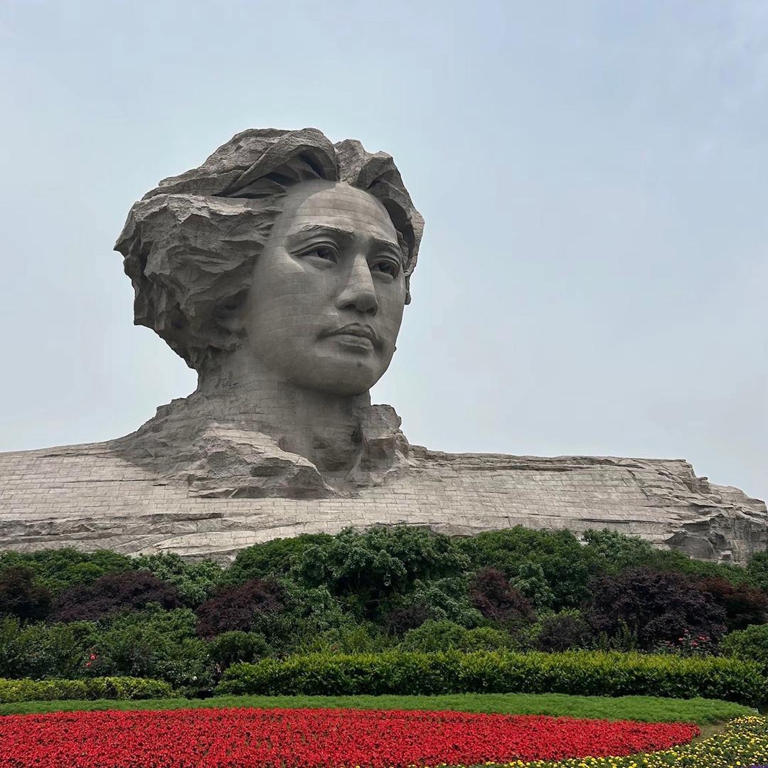 水木荷