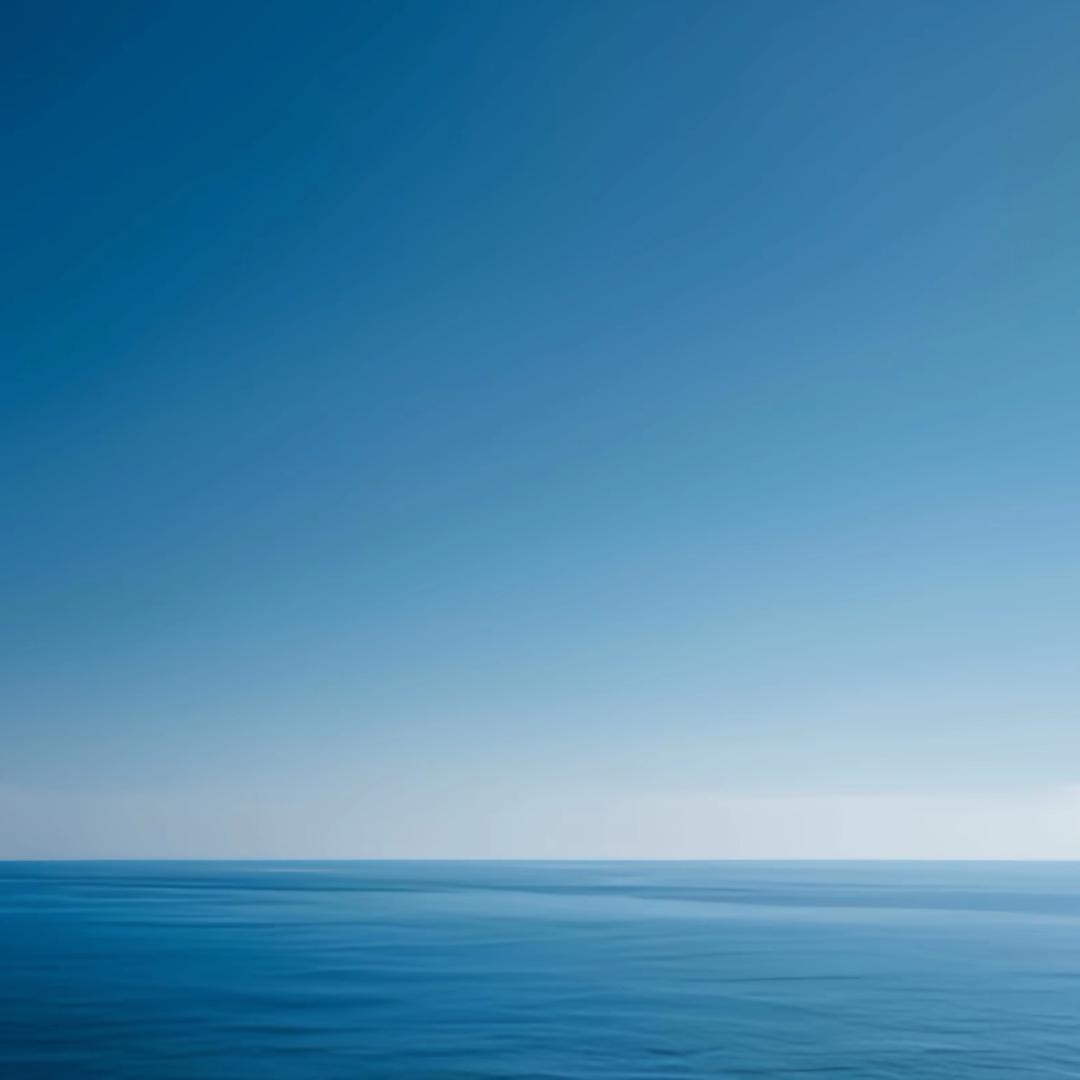 我想吃烤鱼
