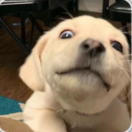 579