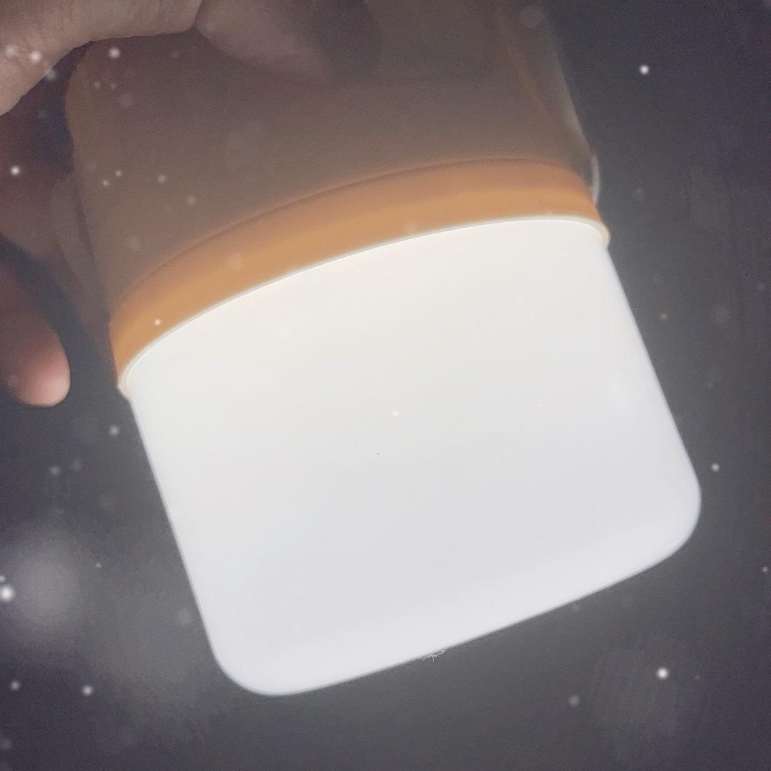 自在游