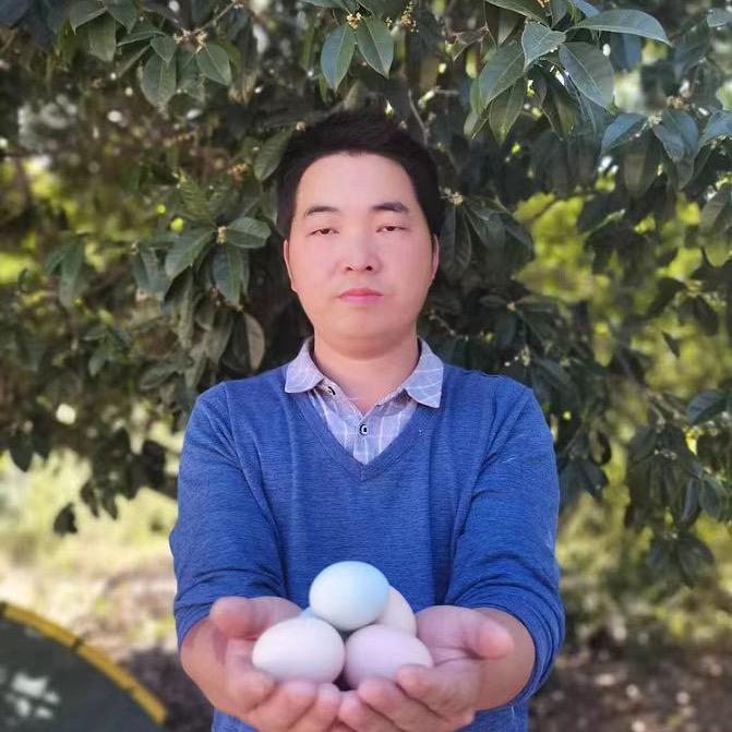 北大土鸡哥桂花鸡