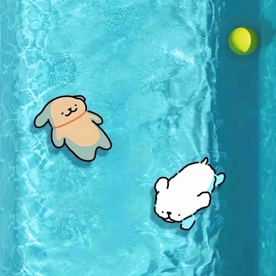 达不溜