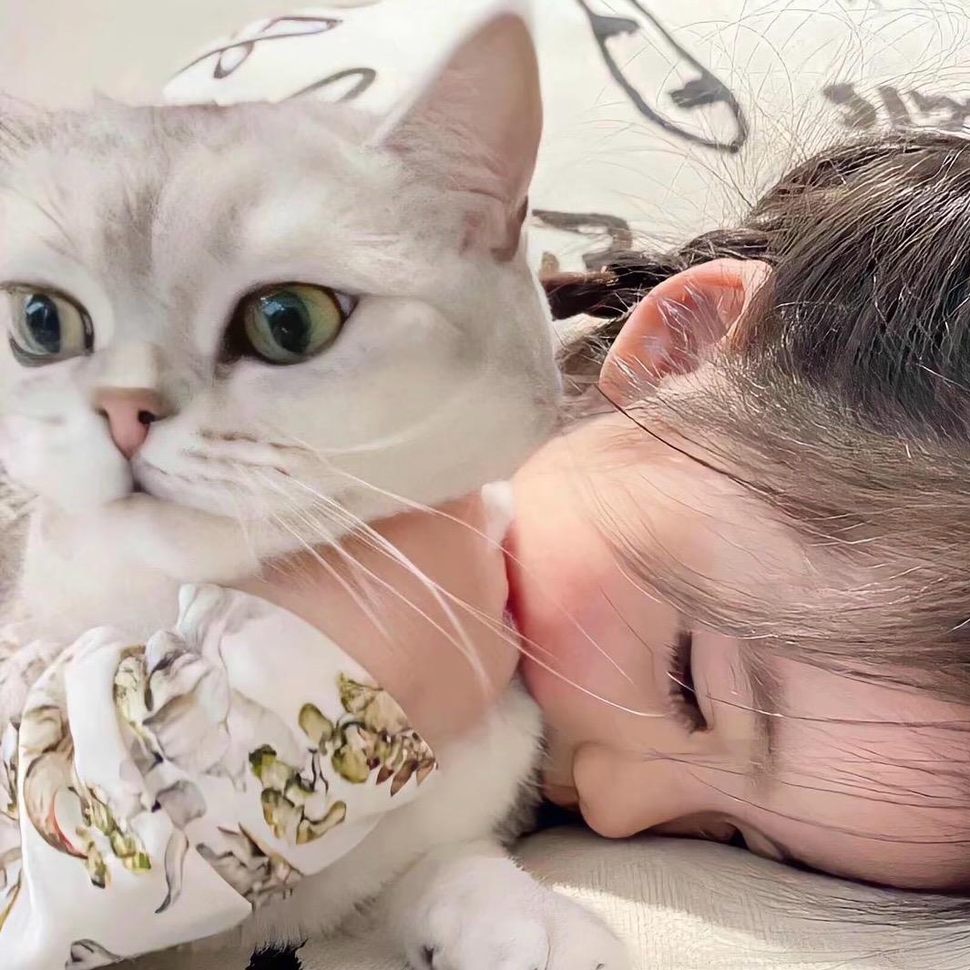 驴帅