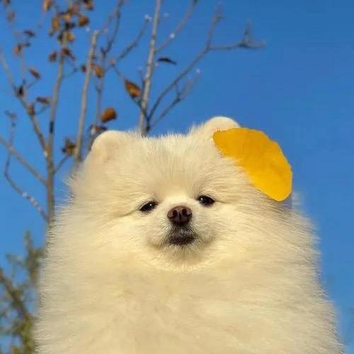 似水流年