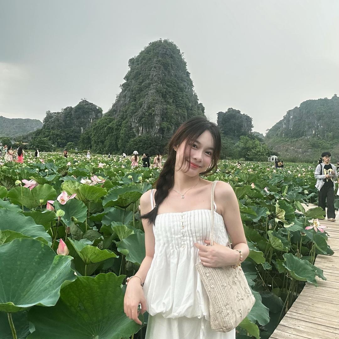 美羊羊(绣橘)
