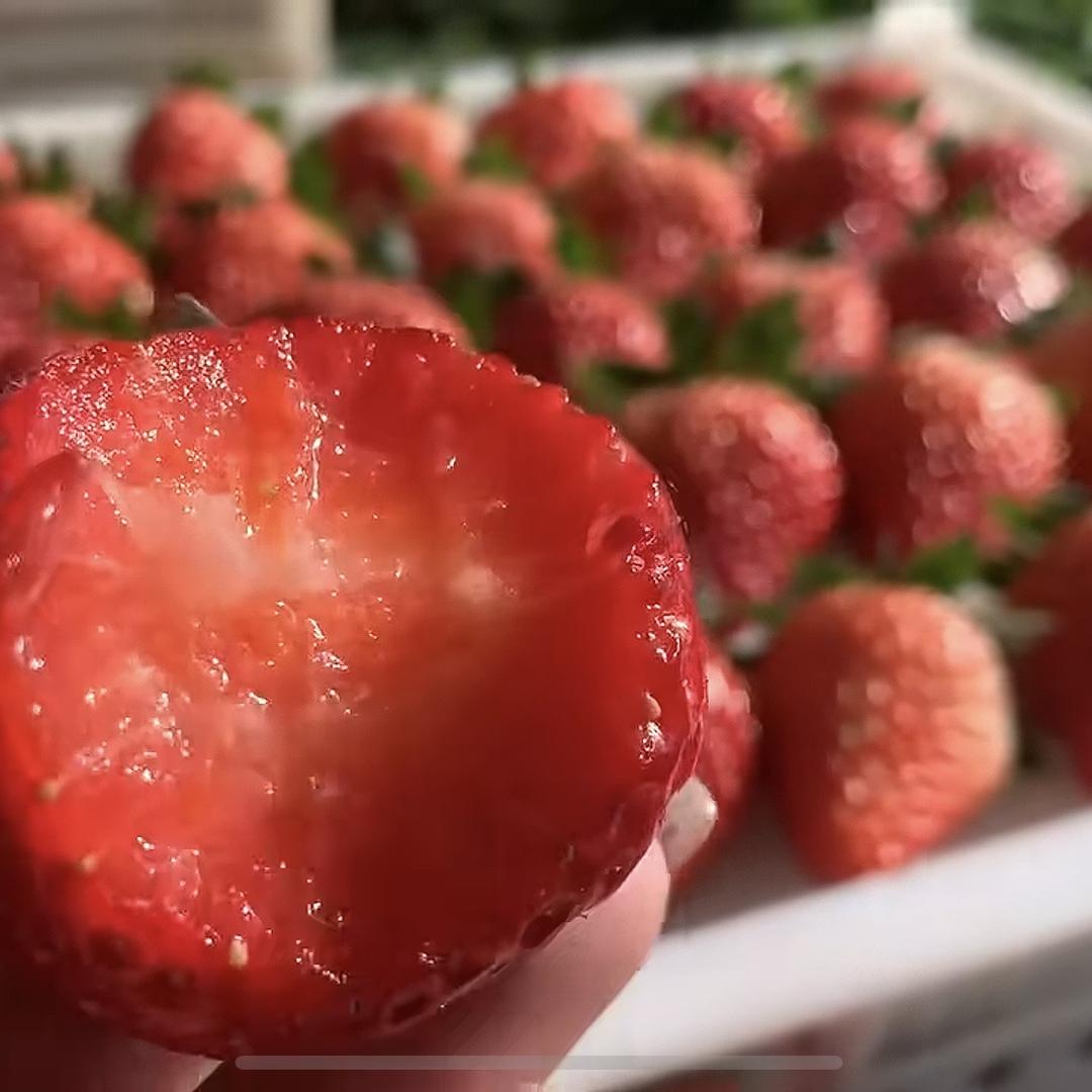 庆宁生鲜(草莓季)