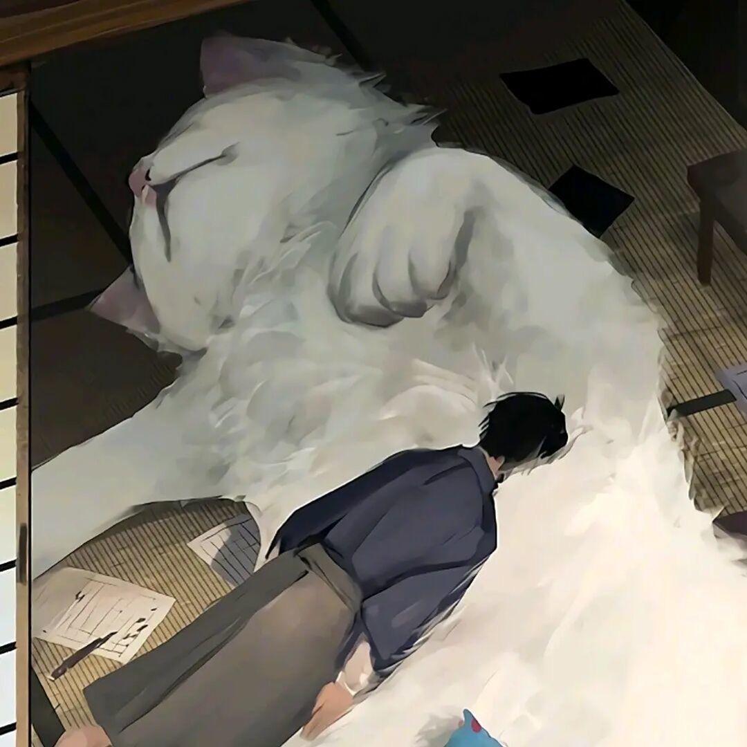 小猕猴涛🥝