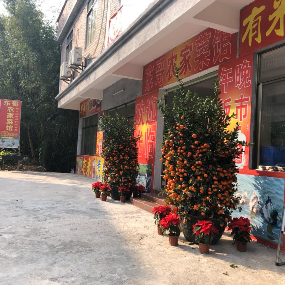 鼎湖红岭东哥农家菜馆官方号