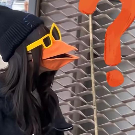 理想