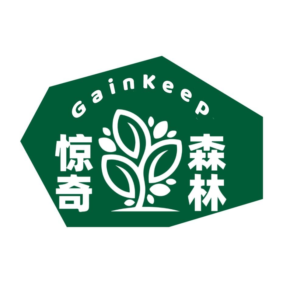 不帅的哥家惊奇森林