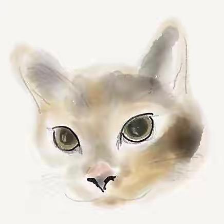 喵喵咪咪🐱
