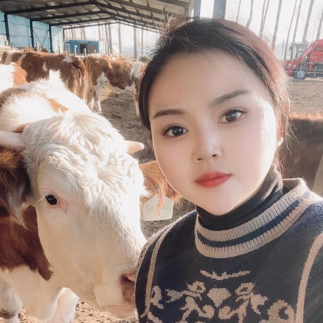 宝妈爱养牛