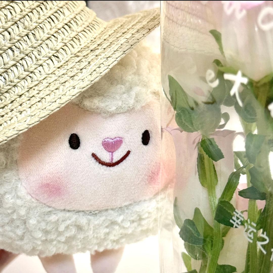 ꒰১165微胖羊羊穿搭记⁺໒꒱