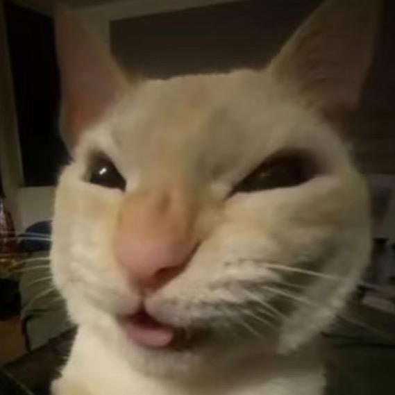 我这一生如绿豆冰