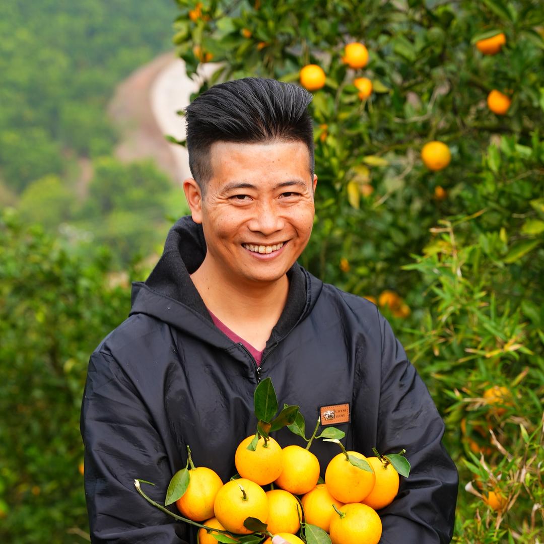 永兴冰糖橙优选店