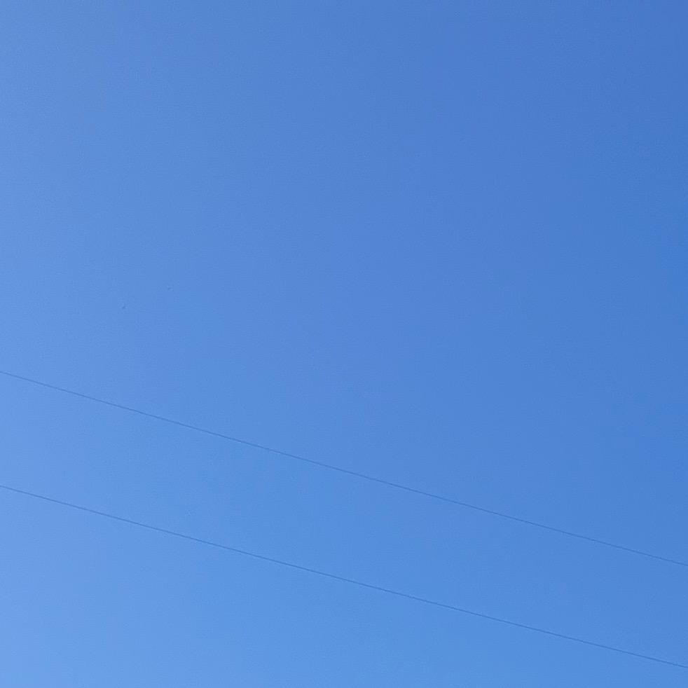 窩窩頭