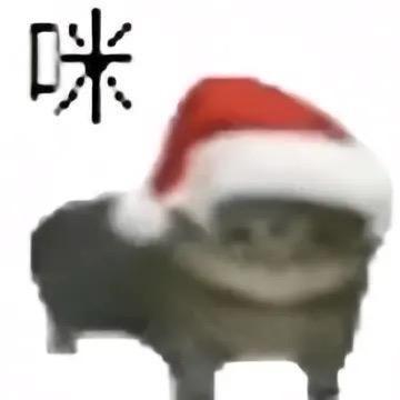 AQ S1Mon