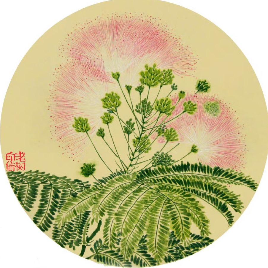 老树花语