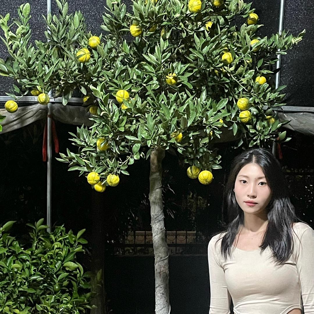 江豪果树苗木专营店