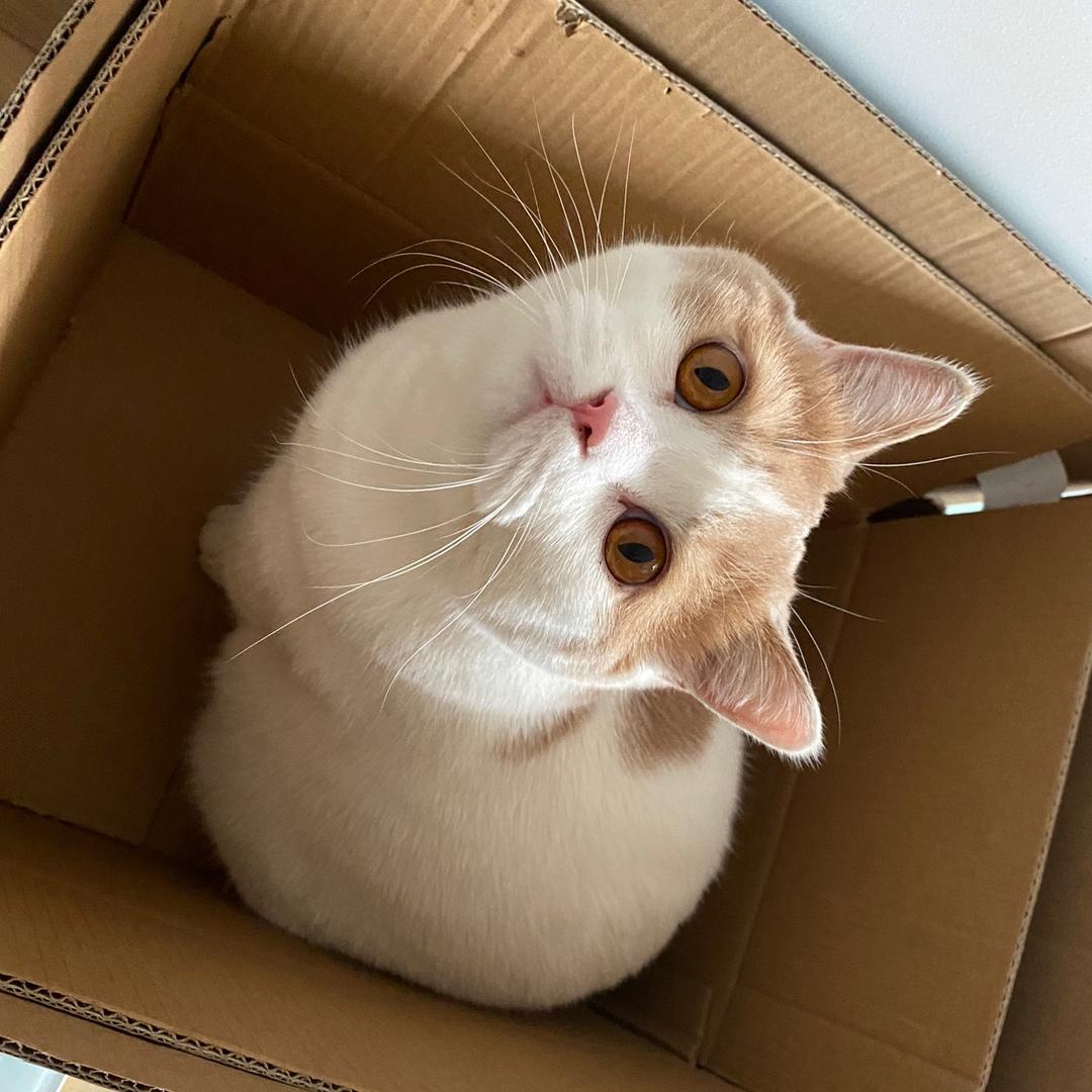 🌈一锅汤圆🍀