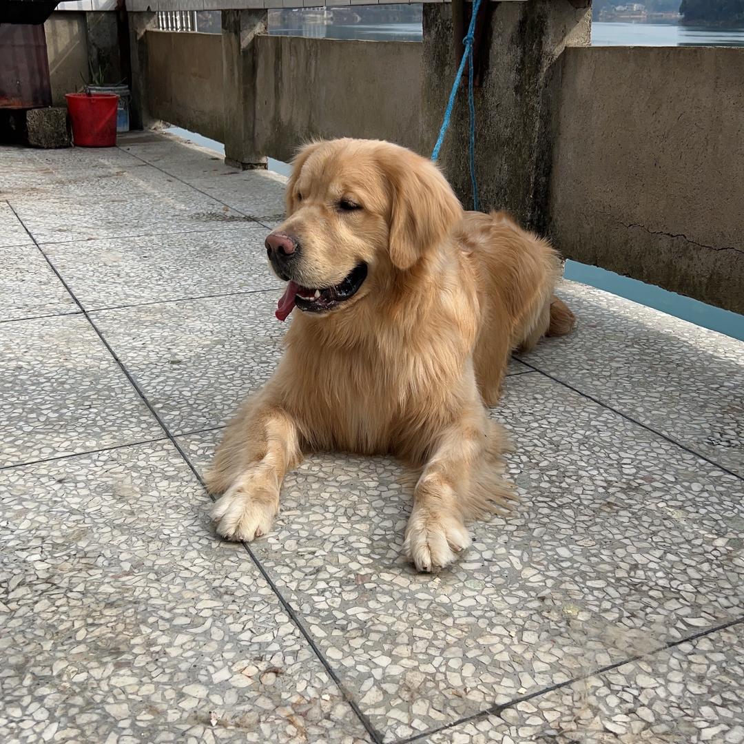 小糖宝