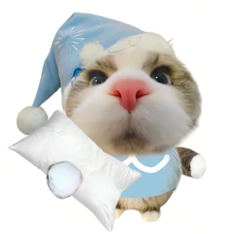 天天吃剩菜剩饭