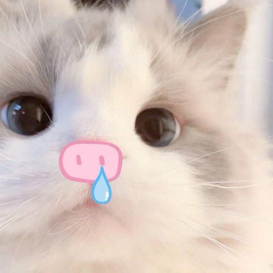 老实的土农民96