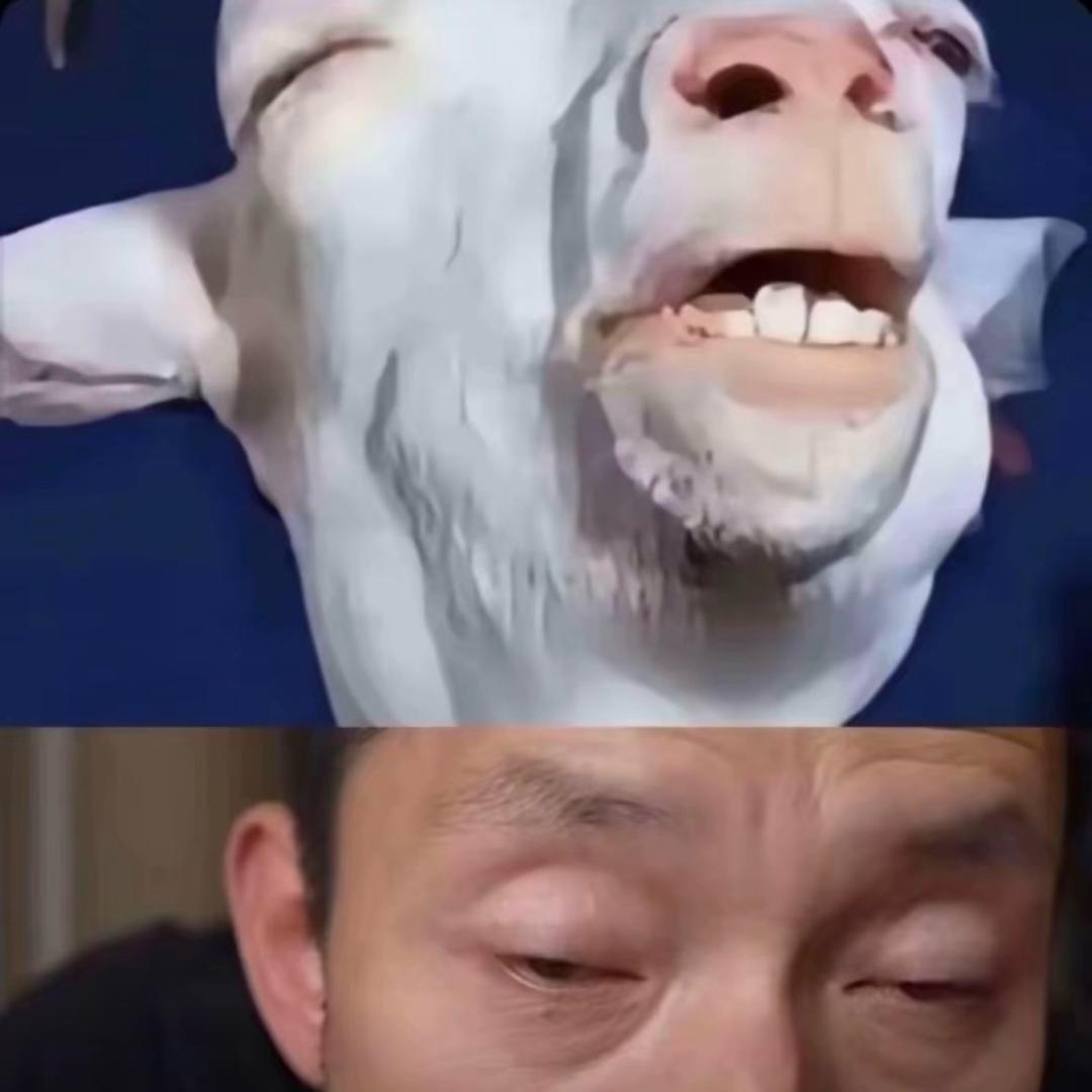 炮哥干死台湾狗