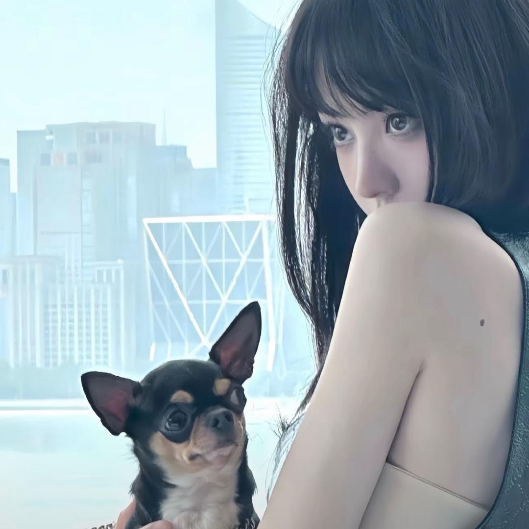 会飞的西红柿🍅