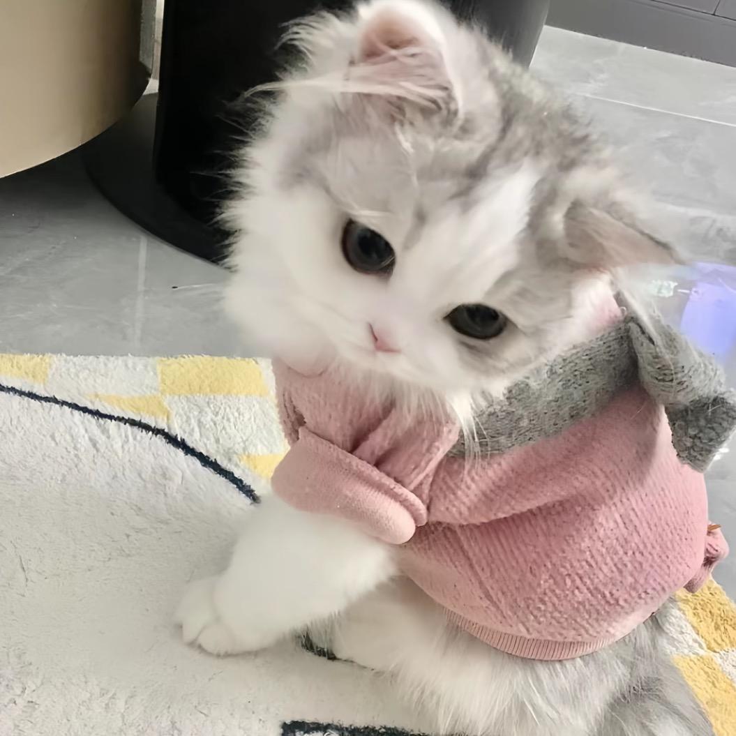 我的意思是和你一起