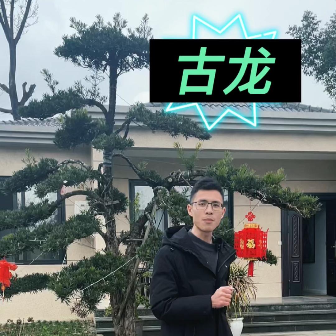 建造师在农村-古龙