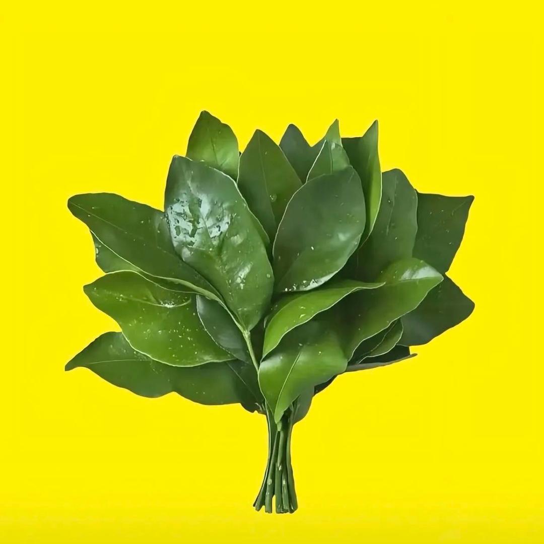 一吃脸就圆 ᯅ𝙞𝙞