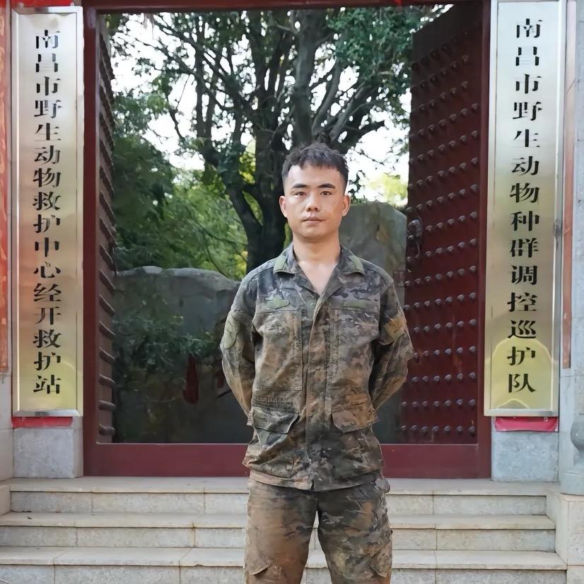 小陈又上树！