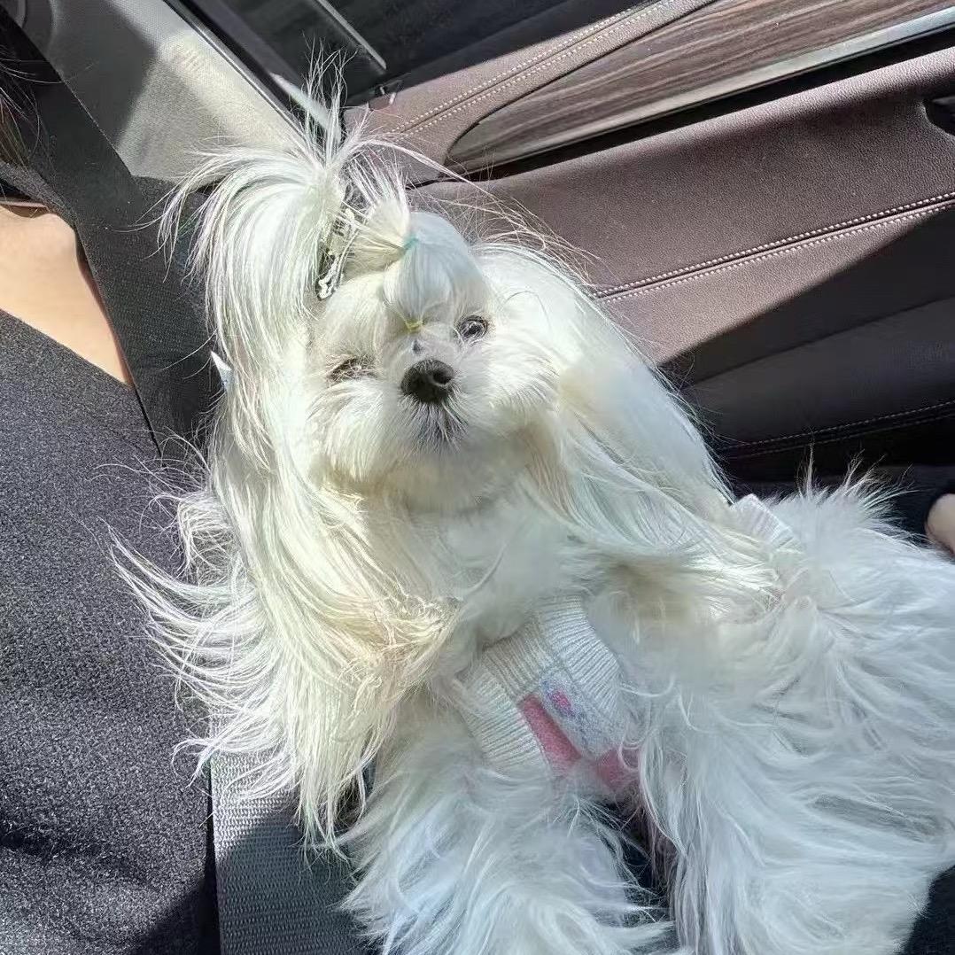 婉儿