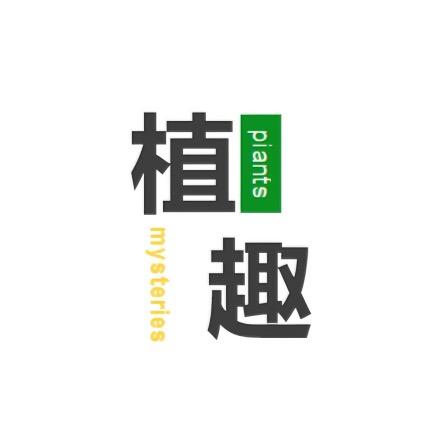 花植趣（吊钟马醉木高端氛围感花材）