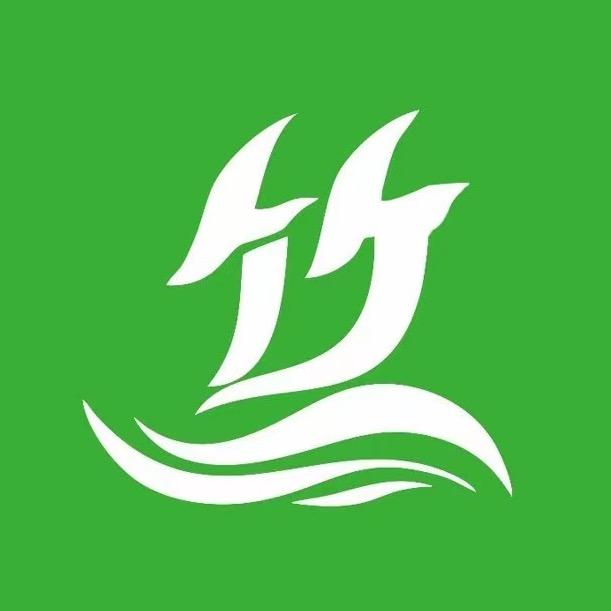 大竹线线