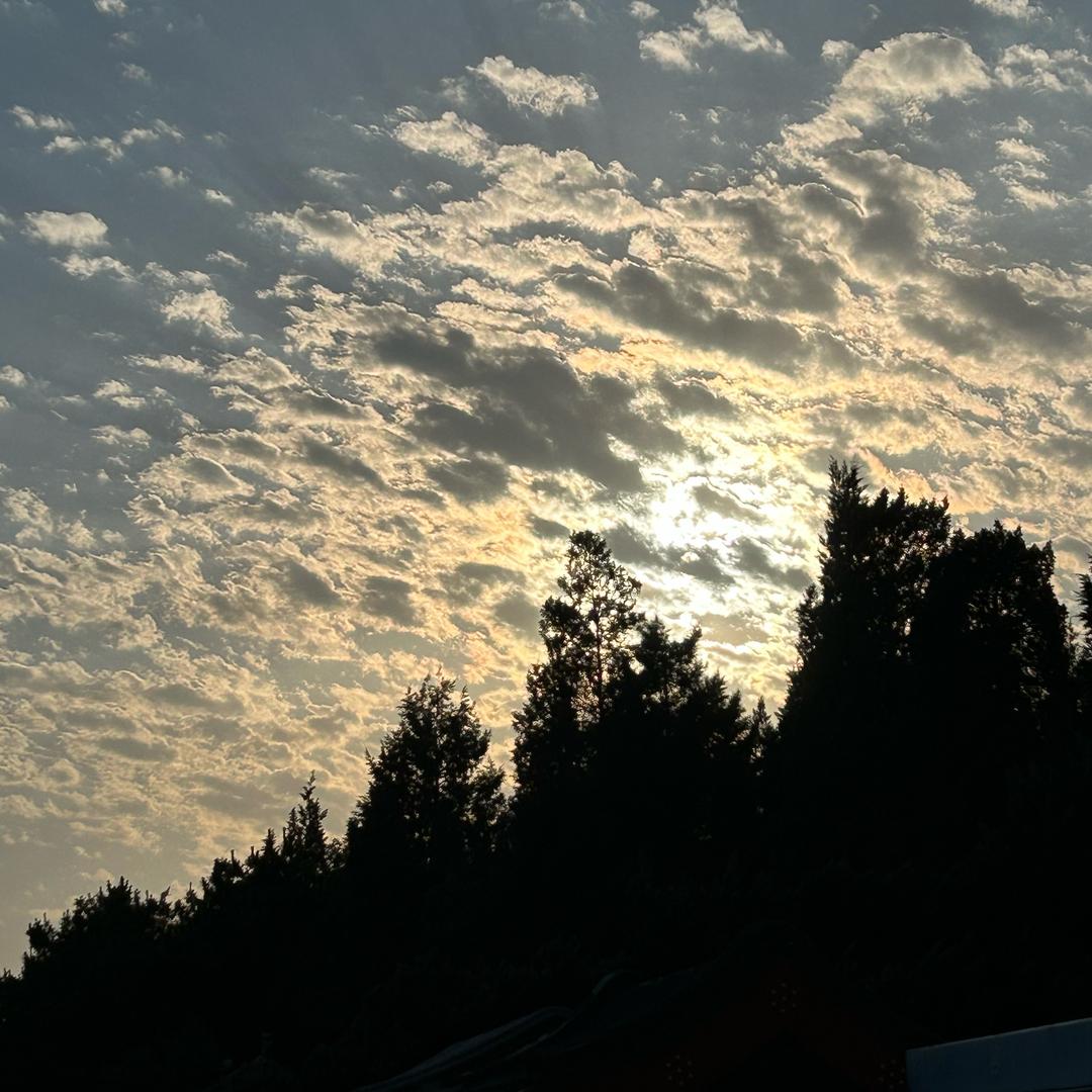 阿富汗在逃保洁