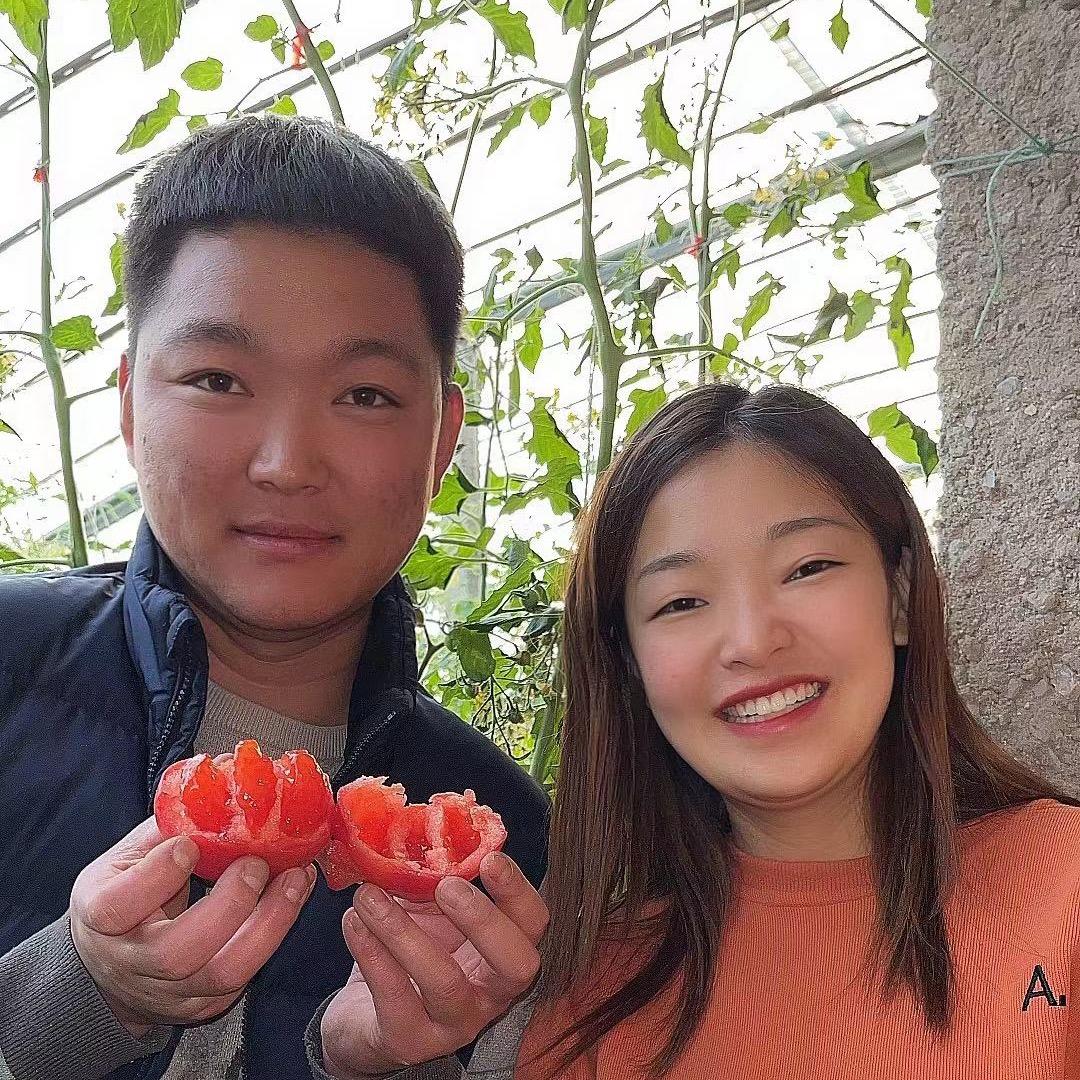 白杨树果蔬