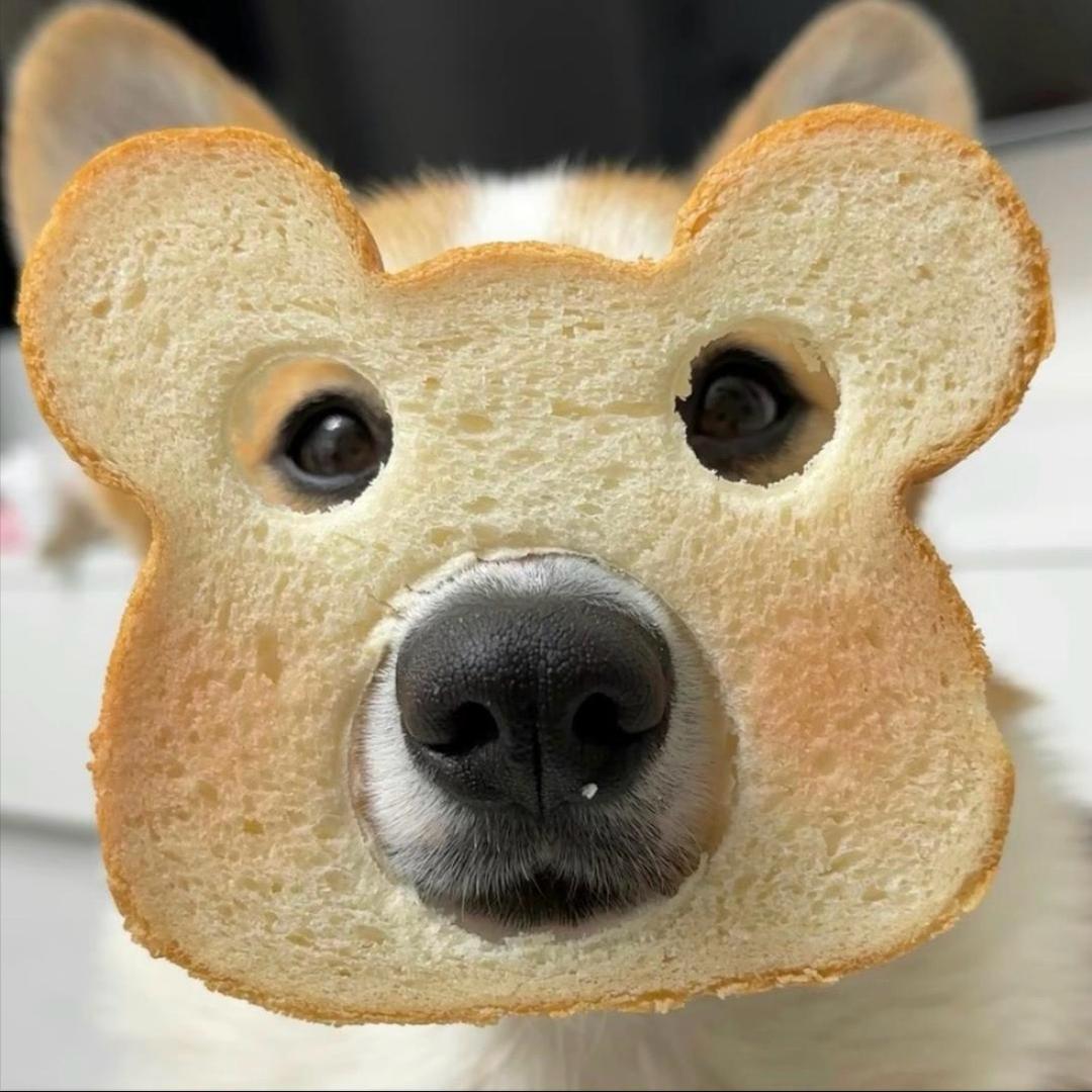 欧耶