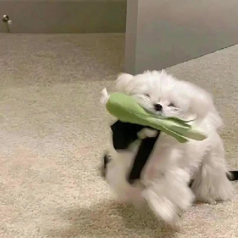 叹气小鹅