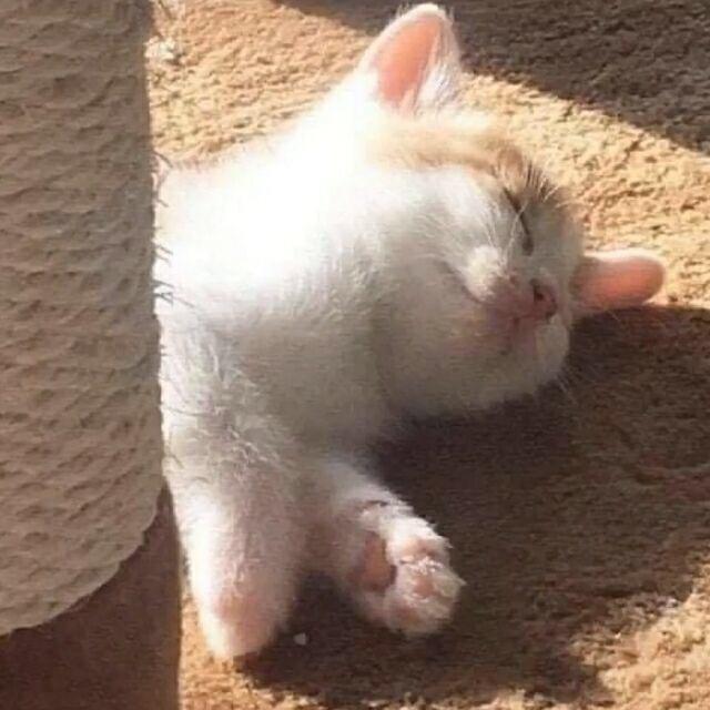 少年独白