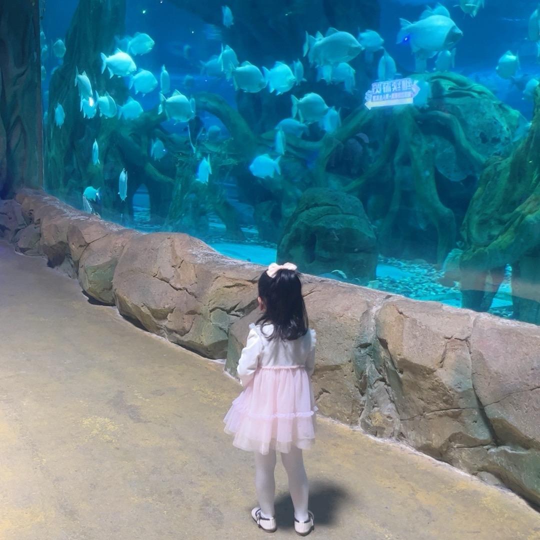 森林小区东区徐州把子肉