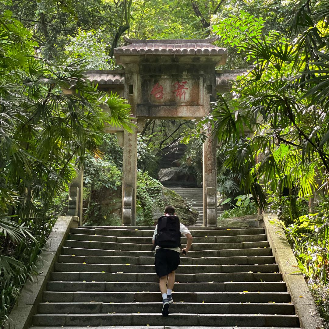 今晚打老虎🇨🇳