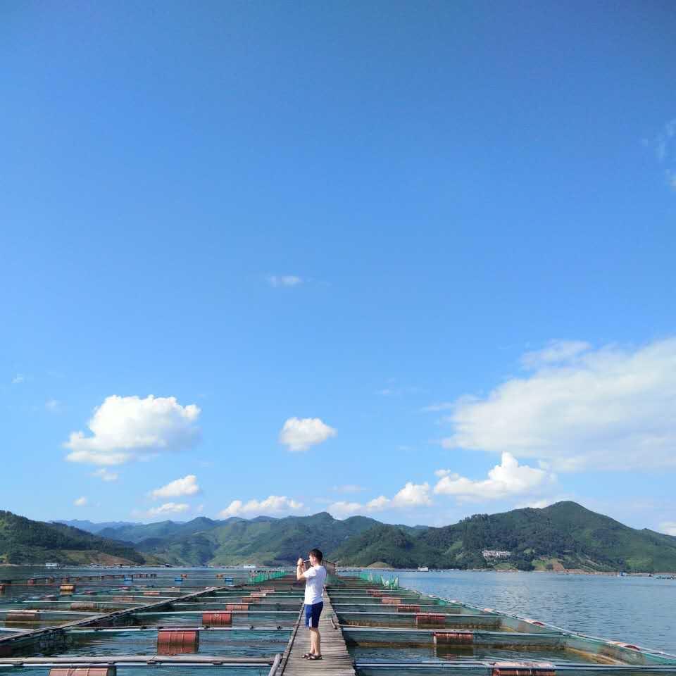 雾里云里